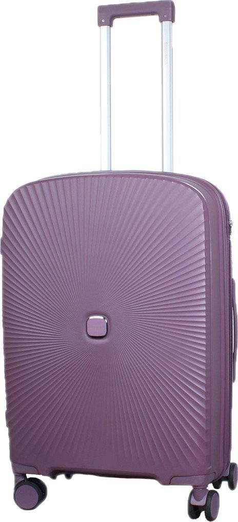 

Чемодан-спиннер Eurobags PP-N81 (L, фиолетовый)