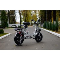 Электровелосипед AVM E-Alfa Fat (серый)