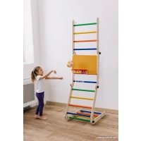 Баскетбольный щит Rokids для шведской стенки 29.5 см