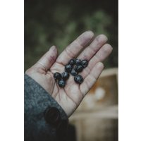 Беззеркальный фотоаппарат Olympus OM-5 Kit 12-45mm (черный)