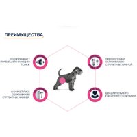 Сухой корм для собак Advance VetDiet Urinary 12 кг