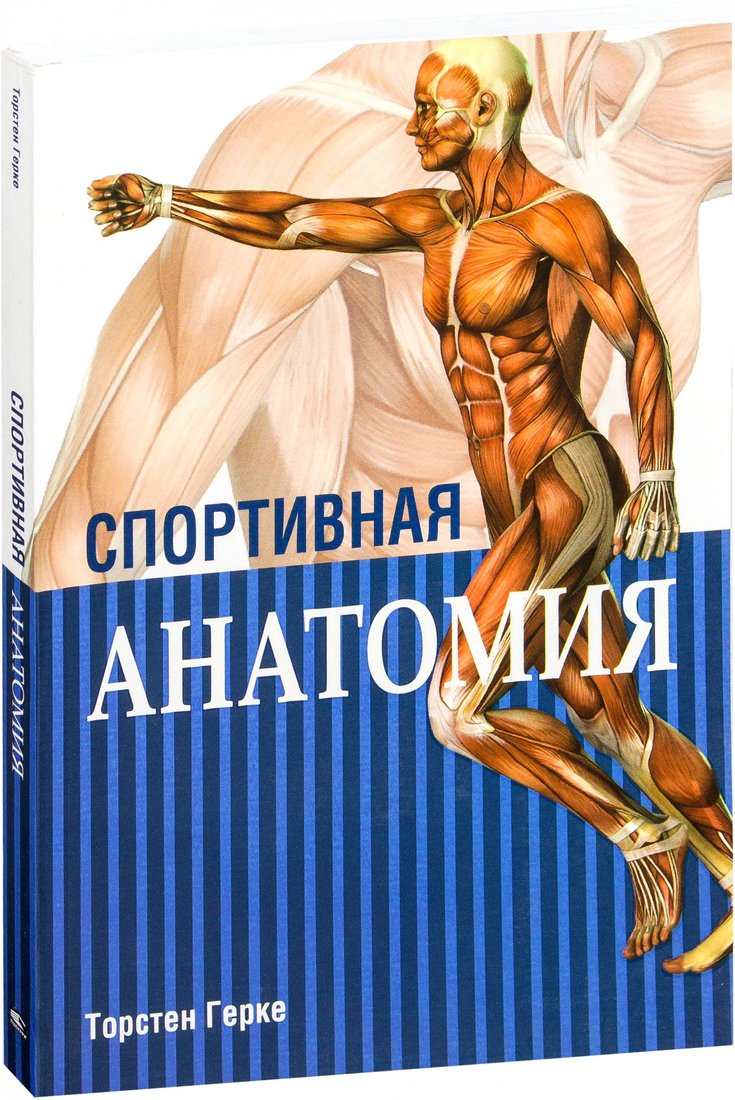 

Книга издательства Попурри. Спортивная анатомия (Герке Т.)
