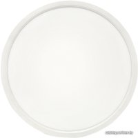 Светодиодная панель EKF 300 мм 24W Connect