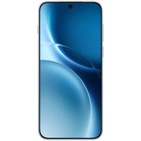 Телефон Vivo X300 Pro V2502A 12GB/256GB китайская версия (бирюзовый)