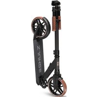 Двухколесный подростковый самокат Shulz 200 2022 (черный)