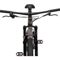 Велосипед Welt Rambler 1.0 L 2025 (Luxury Graphite)