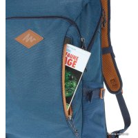 Городской рюкзак Quechua NH500 20 л (сине-серый)