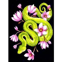 Картина по номерам Молли Питон в цветочном эдеме 40x50 FHR0615