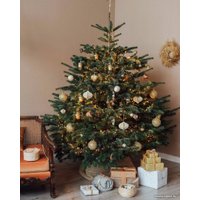 Ель HD Nordic Trees Nordmann Датская Премиум (1.7-2.0 м, срезанная)