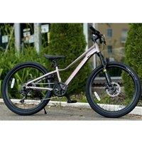 Детский велосипед Timetry TT414 20 7s 2026 (коричневый)