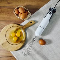 Погружной блендер Evolution HBS-0651 (белый)