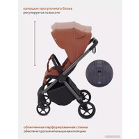 Коляска прогулочная «книга» Rant Golf RA101 (maroon brown)