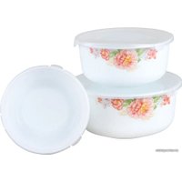 Набор контейнеров Rosenberg R-230236