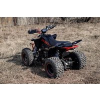 Квадроцикл Motoland Rally 250 (черный/красный)