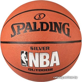 Spalding NBA Silver (7 размер)