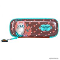 Школьный рюкзак ACROSS ACR22-490-8