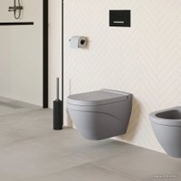 Сиденье для унитаза Ambassador Nord 132T20301 (серый матовый)