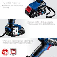 Дрель-шуруповерт Зубр Профессионал DL-201-22 (с 2-мя АКБ 2 Ач, кейс)