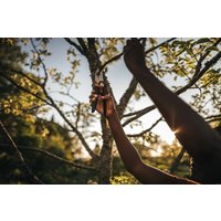 Секатор Fiskars X-series PowerGear X KF L P961 1057175