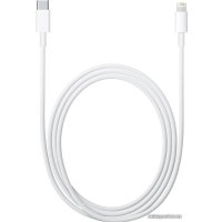 Кабель Apple USB 2.0 Type-C - Lightning (1 м, белый)