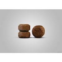 Сухой корм для кошек Josera Senior 2 кг