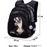 Школьный рюкзак SkyName R2-202 + брелок мячик