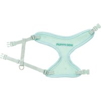 Шлея с поводком Trixie Junior набор шлея 36-50 см +поводок 2 м M-L (мятный) в Солигорске