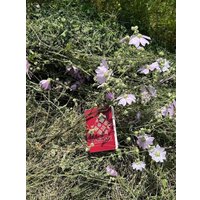  Vander Groop Пашпарт Вандроўніка Па Беларусі