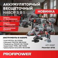  Profipower ProfiSet-5F18 E0267 (болгарка, гайковерт, перфоратор, шуруповерт, циркулярка, 3 АКБ, кейс)