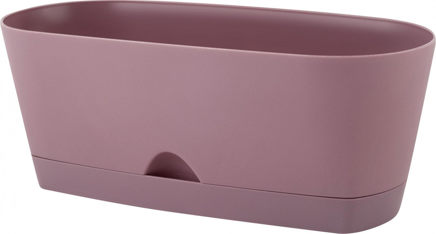 

Вазон inGreen Amsterdam для суккулентов IG620310053 (морозная слива)