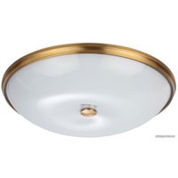 Светильник-тарелка Odeon Light Pellow 4956/5