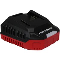 Аккумуляторная пила Profipower PL-12 (с 2-мя АКБ) в Орше