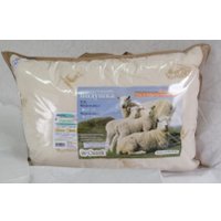 Спальная подушка Delford Шерсть Стандарт ПВХ 2ШХ-УП22 (48x68)