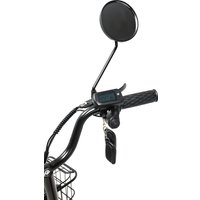 Электровелосипед Smart Balance Fiesta 2024 в Пинске