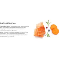 Сухой корм для собак Grandorf Adult Medium&Maxi Breeds Fresh Salmon&Sweet Potato 1 кг в Могилеве