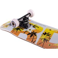 Скейтборд Ridex Cuba