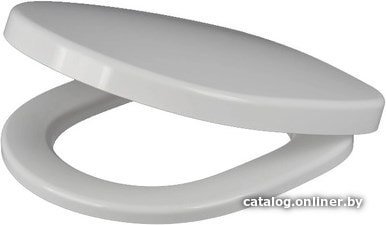 Сиденье для унитаза IDDIS Calipso CALDPSEi31