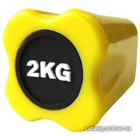 Бодибар Original FitTools FT-BDB-2 2 кг