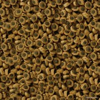 Сухой корм Sera reptil Professional Herbivor Nature 80 г