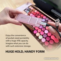 Внешний накопитель Silicon-Power PX10 1TB SP010TBPSDPX10CP