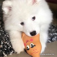 Игрушка для собак Doog Feastheads Sweet Potato Feast04