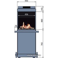 Биокамин Faber theBUZZ
