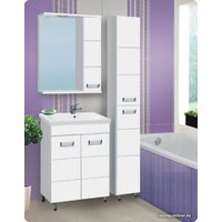  Vako Шкаф с зеркалом Флора 60 T R 10704