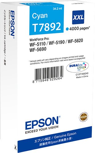 

Картридж Epson C13T789240