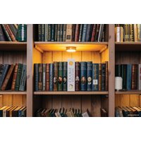 Сейф-книга BRAUBERG Сказки народов мира