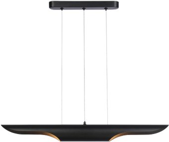 Подвесная люстра Ambrella light Techno Spot TN5157/2 BK (черный)