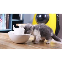 Фонтанчик Catsy Электрический (белый кит)