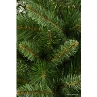 Ель Erbis Анна 0.9 м