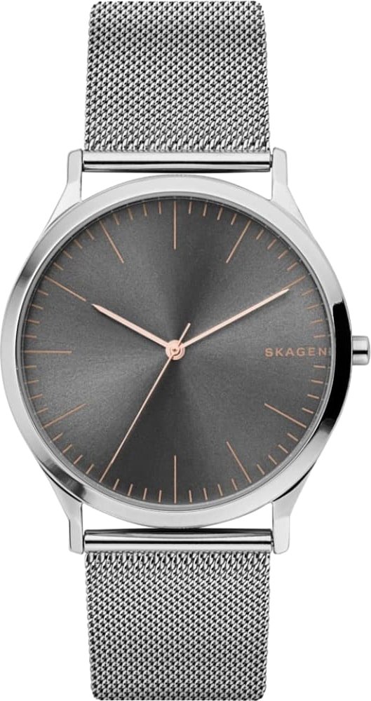 

Наручные часы Skagen SKW6368