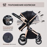 Универсальная коляска Sweet Baby Ranger 2в1 (Black Gold)
